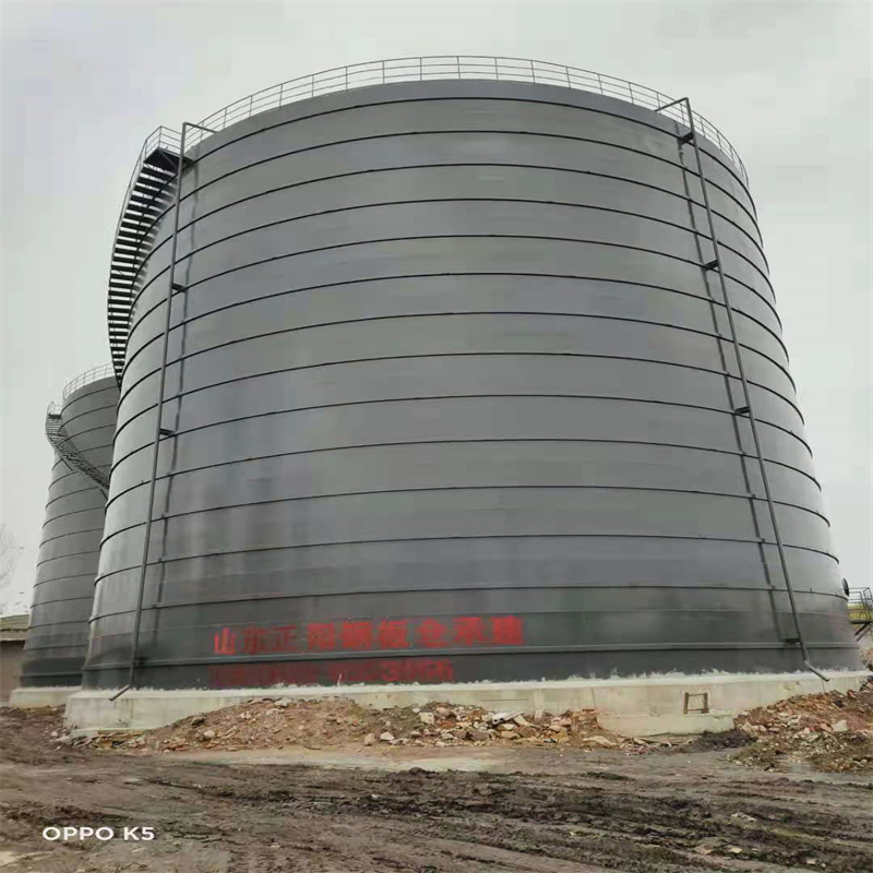 运粮湖管理区3万吨大型钢板库