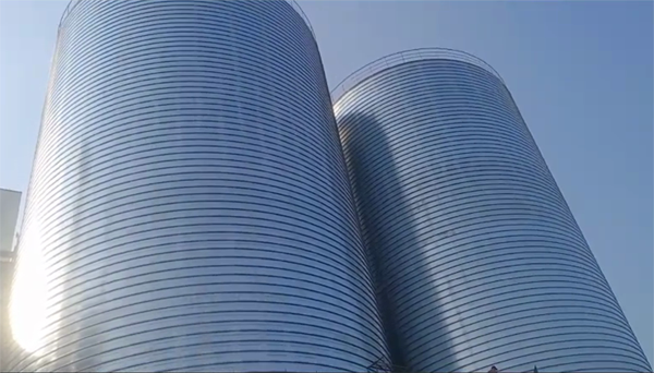 运粮湖管理区2座混凝土高架卷板仓